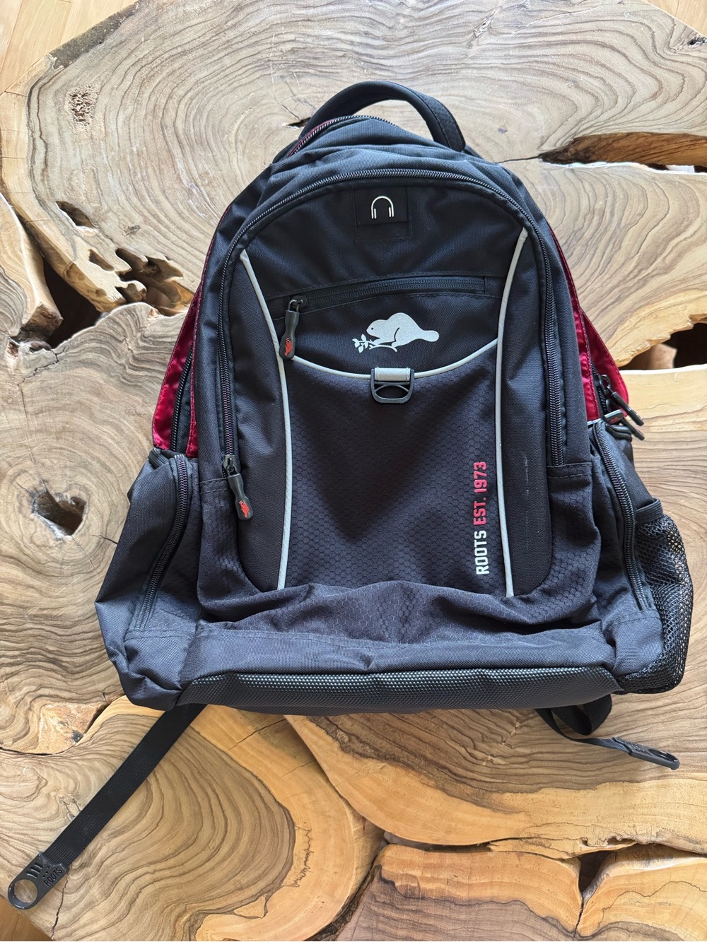 Roots Backpack